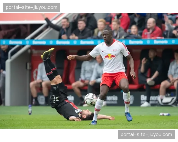 法国于帕梅卡诺科纳特竞争 瓦拉内退出后的中卫新秩序